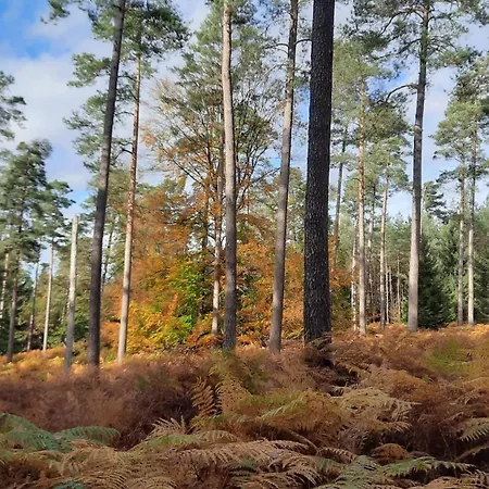 Daire Au Coin Des Fagnes *