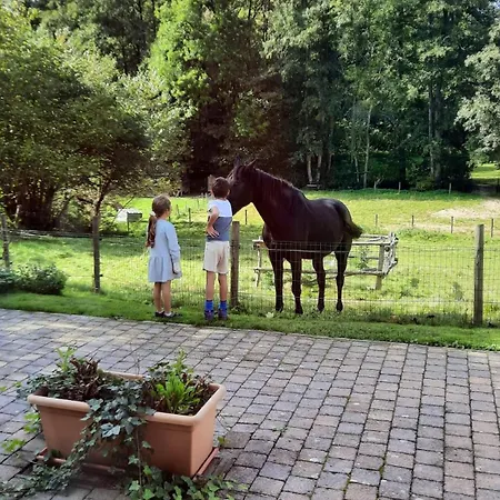 Daire Au Coin Des Fagnes