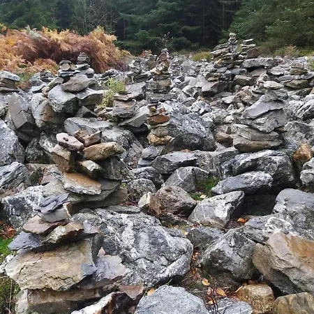 شقة Au Coin Des Fagnes جالهاي