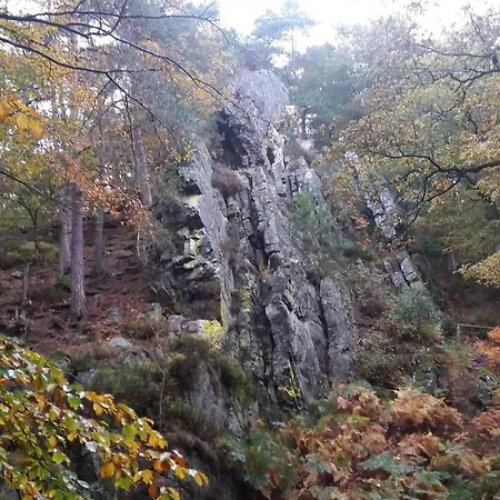 Daire Au Coin Des Fagnes