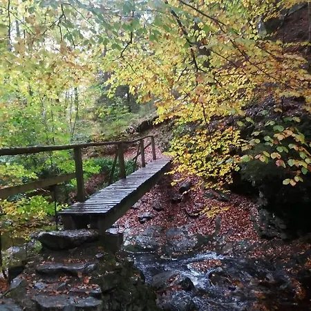 Au Coin Des Fagnes *